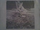 FRIZ BE - Hmm, Ultra rare DIY MINIMAL SYNTH SWE 1981