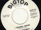 NORTHERN DOOWOP -on BIGTOP-516--DYNAMICS--HEAR BOTH