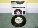 The Libertines - What a Waster(V RARE 7