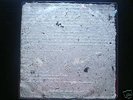 MUSLIMGAUZE 