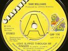 DEMO SAM WILLIAMS 
