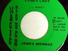 rare Soul Funk 45 JAMES MONROE funky lady Listen
