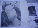 LP RECOP.FEMIRAMA RARE NEO ZELANDA MINIMAL SYNTH INSERT