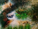 PINK FLOYD A SAUCERFUL OF SECRETS ERSTPRESSUNG 1968
