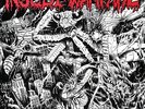 INSECT WARFARE At War 7