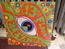 13th FOOOR ELEVATORS:Psychedelic Sounds US ORIG LP MONO