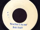 Bob Andy You Don't Know JA rare blank Harry J 45 Listen