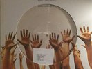 LUCIO BATTISTI : IL MIO CANTO LIBERO (PICT. DISC.)