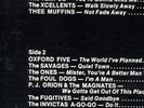 OIL STAINS-VA-LP-DB Records LTD ED #231/500 Garage-Punk