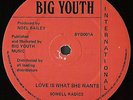 SOWELL RADICS   RARE ROOTS REGGAE SHAKA DUB 12
