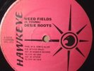 DESI ROOTS - Weed Fields - Hawkeye 12