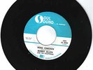 RARE FUNK 45 - Bobby Allen & Exceptions on Soul Sound