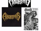 Amorphis Beginning Pack