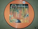 SLAYER - Hell Awaits Picture Disc LP  un-numbered press