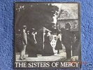 Sisters of Mercy        The Damage Done