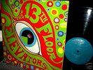 M- Garage Psych   13th Floor Elevators Psychedelic ROKY