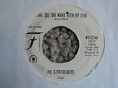 The Stratoliners What do you want with my love 45-mp3