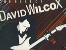THE BEST OF DAVID WILCOX LP-ST6652-CANADA PRESS-ROCK-NM