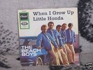 RARE BEACH BOYS SI LITTLE HONDA D ORIGINAL CAR COVER 65