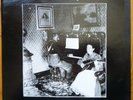 Electro Hippies Generic Split 12