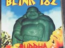 Rare Blink 182: Buddha LP on Kung Fu Lyric Sleeve