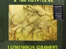 ROBYN HITCHCOCK EGYPTIANS Luminous Groove 8x LP BOX SET
