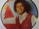 Michael Jackson Picture Disc Collector