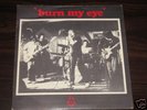 Radio Birdman Burn My Eye 7