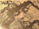 Gap Mangione - Diana In The Autumn Wind LP 1968 J Dilla