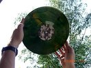 HAWKWIND - ALIEN AUTOPSY LP - COLORED VINYL - RARE 