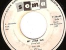Private 1959 ND Rockabilly 45 TERRY LEE  POOR BOYS Soma