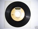 RUBBER BISCUIT - THE CHIPS - DOO WOP - JOSIE - 45 RPM