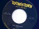 Jeb Stuart All for love Youngstown 5002 deep soul 45