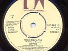 GYPPO High Rise Love  UK punk 7