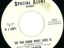 Syl Johnson : RARE Northern Soul 45 on Special Agent