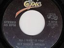NORTHERN SOUL/SLY SLICK & WICKED/ALL I WANT IS YOU