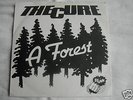 THE CURE A Forest NZ New Zealand Stunn 7