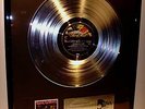 Iron Maiden Platin Schallplatte Platinum Record(goldene