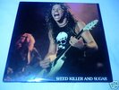 METALLICA - WEED KILLER AND SUGAR - RADIO PROMO 2 LPS