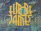 ELMORE JAMES - TO KNOW A MAN - EXC/NEAR MINT RECORDS