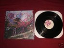 Animal Collective - Here Comes the Indian LP /1000 WAT
