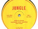 JUNGLE SELF TITLED PRIVATE PRESS PSYCH ORIGINAL LP 1969
