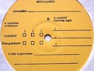 PINK FLOYD: A Momentary Lapse..-TEST PRESSING - Hungary