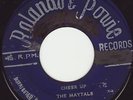 CHEER UP - THE MAYTALS - SUPER RARE SKA - LISTEN