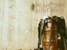 Pearl Jam Lost Dogs Vinyl LP  SEALED
