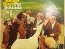 The Beach Boys Pet Sounds LP 1966 pressing MONO
