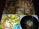 Pulling Teeth-Paranoid Illusions LP HOLOGRAM catharsis