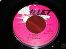 SKINHEAD-THE FABIONS - V.ROCKET / SMILE.VG.PLAYS GREAT.