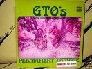 GTO's--PERMANENT DAMAGE--ORIG '69 LP,RARE WLP, PROMO,M-