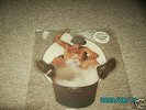 AC/DC YOU SHOOK ME ALL NIGHT LONG SHAPED PICTURE DISC